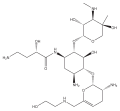 Plazomicin