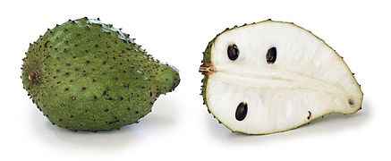 Soursop, Annona muricata