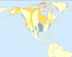 Distribución:     Cría     Inverno