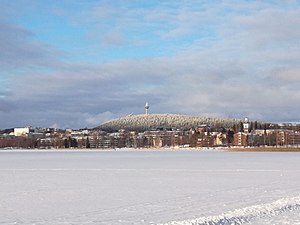 Vista hivernal