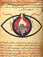 Image 50The eye according to Hunayn ibn Ishaq, c. 1200 (from Science in the medieval Islamic world)