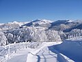 雪に覆われたオーヴェルニュ高地。オーヴェルニュ（Auvergne）の名はアルウェルニ族（Arverni）に由来する。