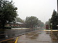 Grand Avenue, lăngâ Universitatea din Wyoming.