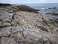 Falaise et estran rocheux côté ouest de la Pointe des Saisies ayant conservé des traces de leur ancienne exploitation comme carrière.