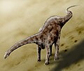 Diplodocus - dros 30 m, sauropod cyffredin ar ddiwedd y cyfnod Jwrasig.