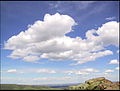 一些小积云 (cumulus humilis)