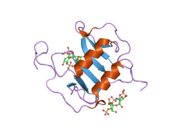 2nwg​: CXCL12 structura: heparin disaharid kompleks