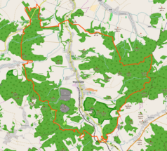 Mapa konturowa Wojcieszowa, w centrum znajduje się ikonka pałacu z opisem „Pałac Niemitz w Wojcieszowie”