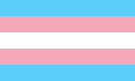 Bandera trans