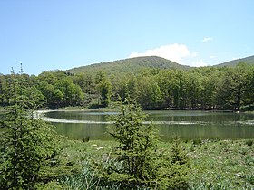 Image illustrative de l’article Lac Noir (Akfadou)