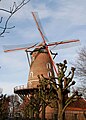 De Roomanmolen te Sint-Pauwels