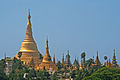 Shwedagon, un bosc de pagodes