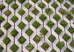 Permeable pavement