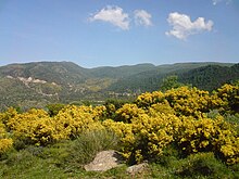 Paysage printanier en Kabylie.