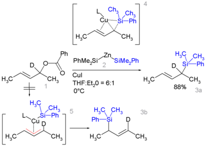 Allylic substitution forming an allyl silane