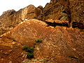 Buddhist stone carvings at Ili River, Kazakhstan