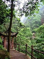 Wooden bridgewalk over the Crystal Stream, western slopes