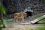 Mahatma Gandhi Zoological Park