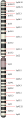 Pisipilt versioonist seisuga 29. detsember 2011, kell 17:40