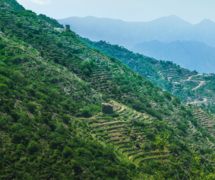 Jabal Soudah (3,000 m or 9,800 ft) located in the 'Asir subrange of the Sarat Mountains