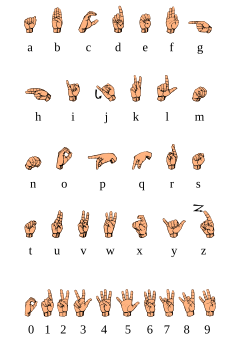 chart of letters in the American manual alphabet, with Latin script equivalents