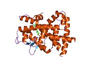 1xap​: Struktura ligand vezujućeg domena retinoinskog receptora beta