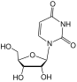 Chemical structure of uridine