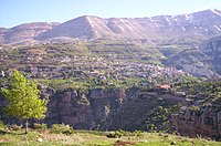 Wadi Qadisha (Heiliges Tal) und Wald der Zedern des Herrn (Horsh Arz el-Rab)