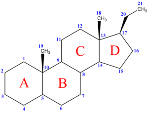 Нумерация атомов углерода стероидного ядра