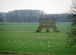 Kogelvanger bij Werk aan het Spoel.