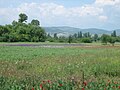 Le bassin de Skopje.