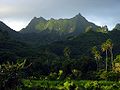 Rarotonga legmagasabb pontja, a Te Manga a déli partról nézve