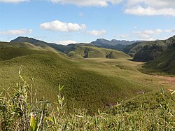 Scene of a valley