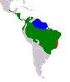 Range-Map: Green=B. variegatus, Blue=B. tridactylus, Red=B. torquatus