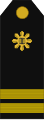 Philippines (Lieutenant Senior Grade)