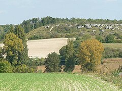 Chaumes de Vignac près de Roullet vers le centre.