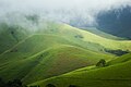 Grasslands in Kudremukh National Park during Monsoon