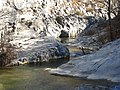 Il torrente sul fondo della Val Rosandra