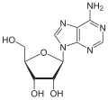 Adenosin