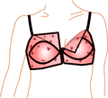 1950s style "Shutter" bra