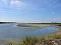 Parc ornithologique de Marquenterre