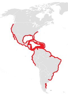 Distribution map