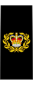 Royal Canadian Navy