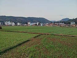 河口鎮の田園風景