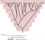 Nova imaxe SVG