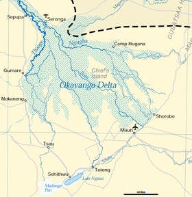 Image illustrative de l’article Delta de l'Okavango