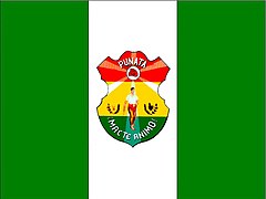 Bandera de Punata (Cochabamba)