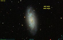 NGC 4420 SDSS.jpg