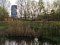 Parc de l'île Saint-Germain.