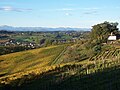 Paysage vallonné à Monein.